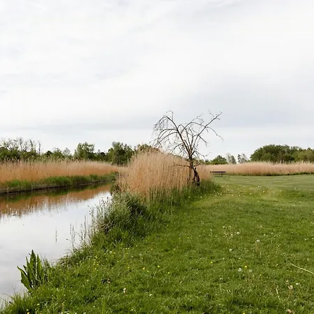 Protected Nature At Thatched Gem