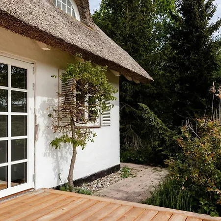 Protected Nature At Thatched Gem Gorlev