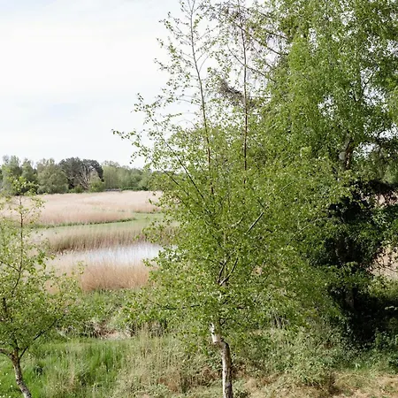 Vakantiehuis Protected Nature At Thatched Gem Gorlev
