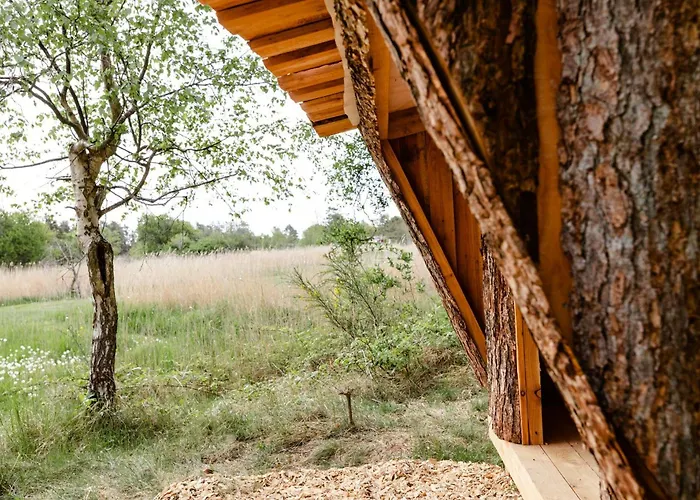 Protected Nature At Thatched Gem * Gorlev