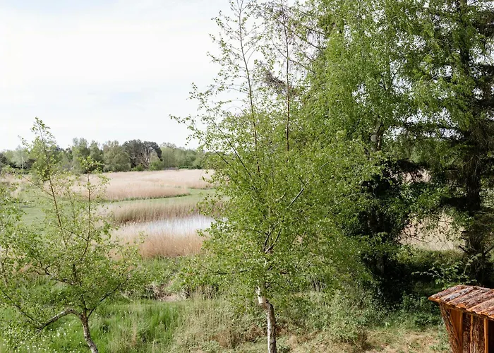 بيت للعطل Protected Nature At Thatched Gem Gorlev